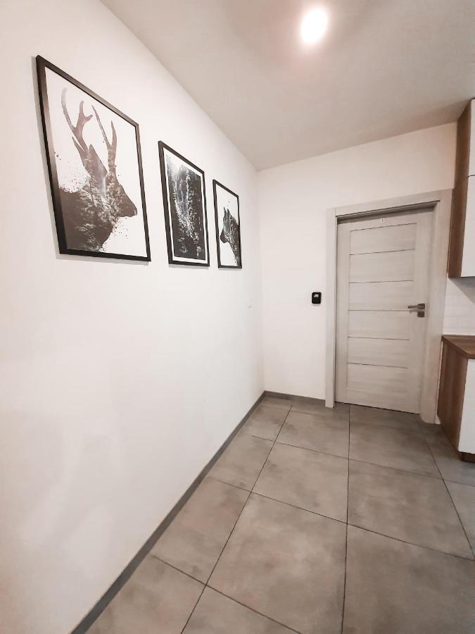 Apartament Arena No. 91 Privatunterkunft Krakau
